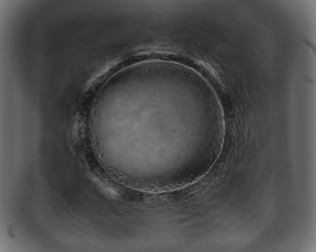 X0000095691159200801081242
