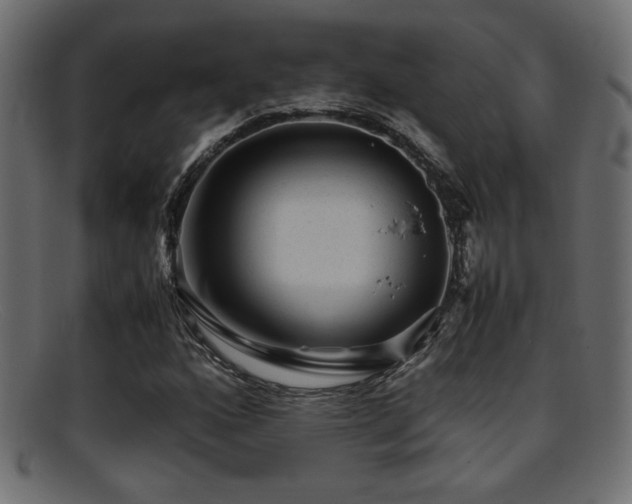 X0000095691160200801081242