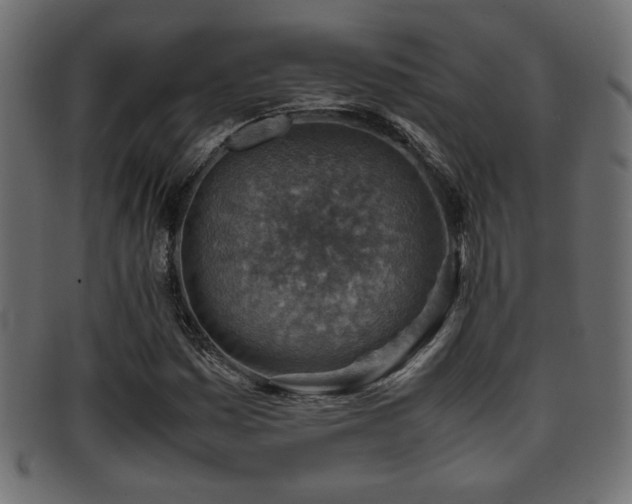 X0000095691161200801081242