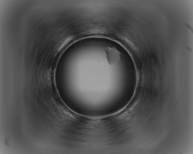 X0000095691162200801081242