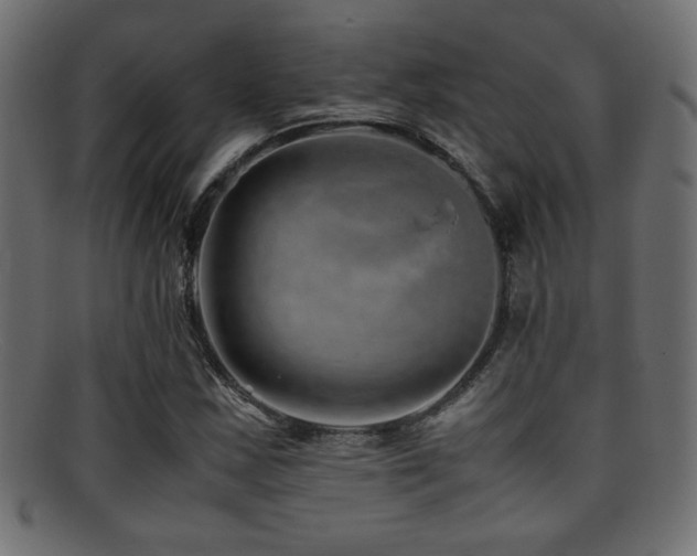 X0000095691163200801081242