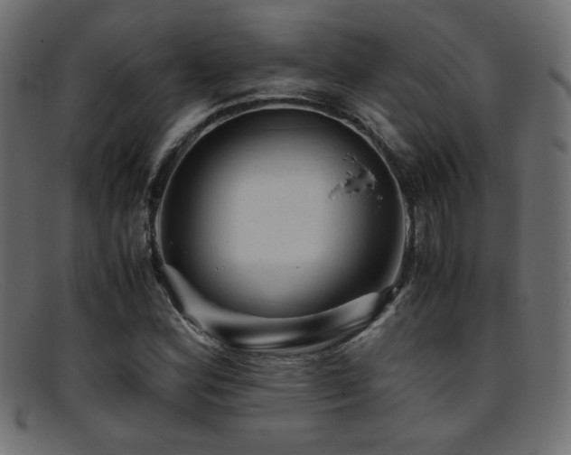 X0000095691164200801081242