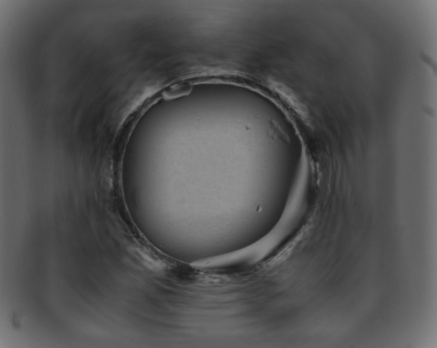 X0000095691165200801081242