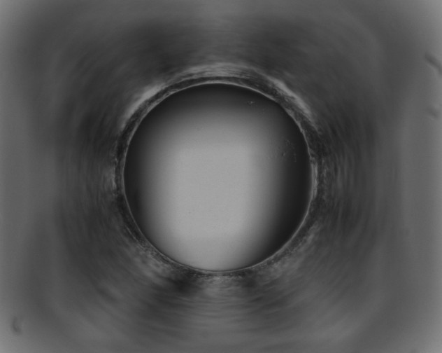 X0000095691166200801081242