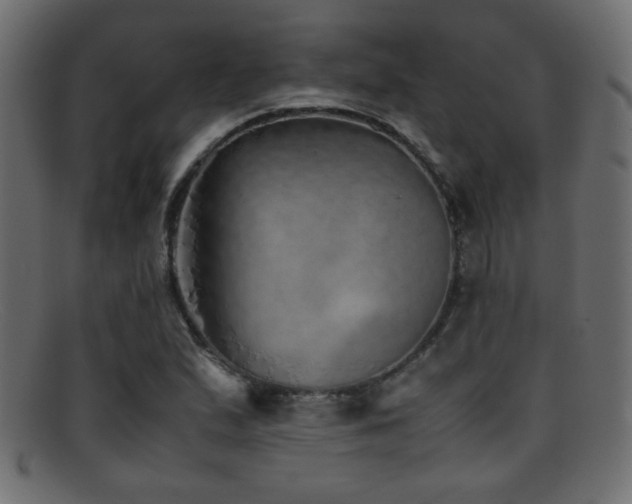 X0000095691167200801081242