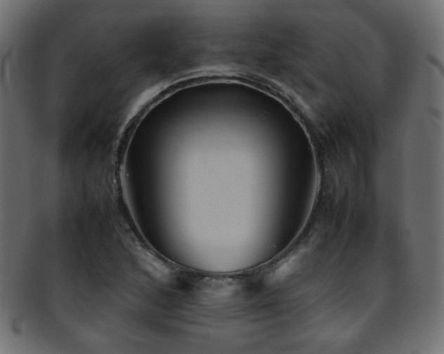 X0000095691168200801081242