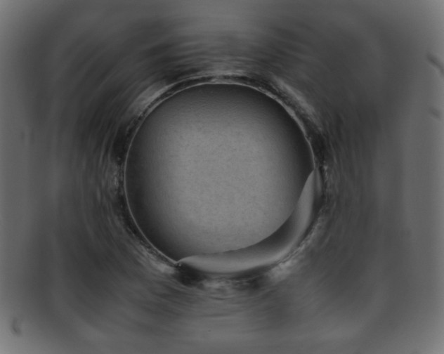X0000095691169200801081242