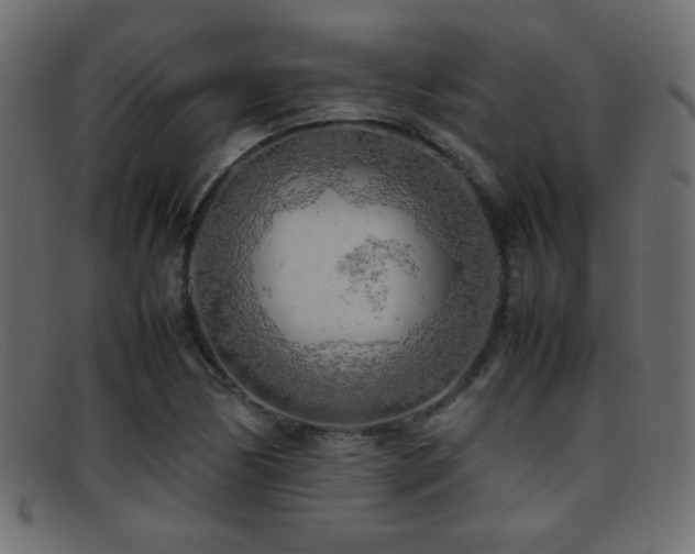X0000095691170200801081242