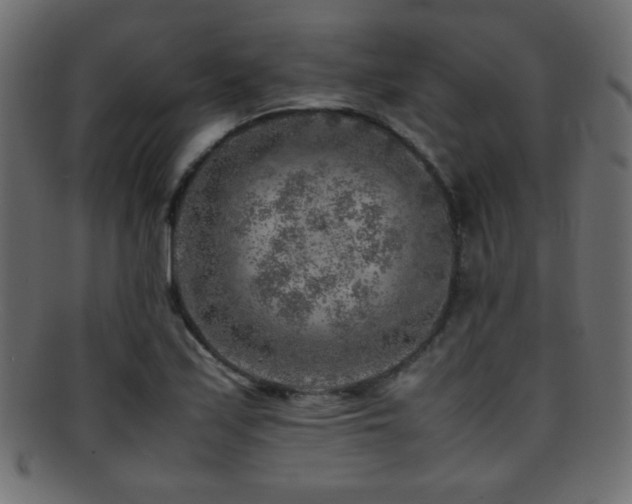 X0000095691171200801081242