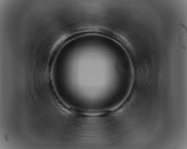 X0000095691172200801081242
