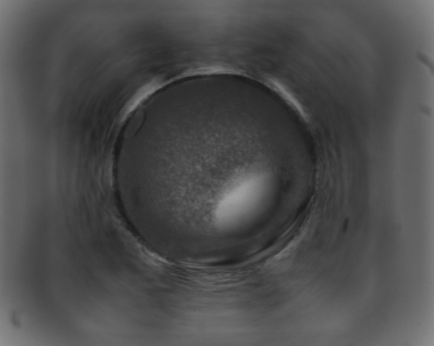X0000095691173200801081242