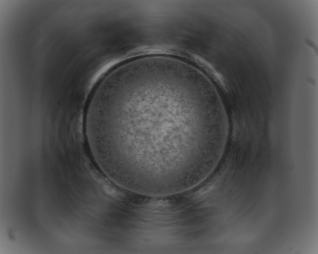 X0000095691174200801081242