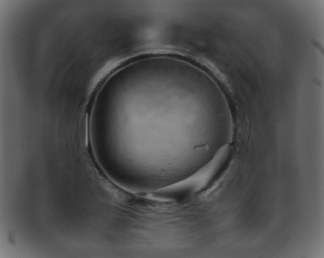 X0000095691175200801081242