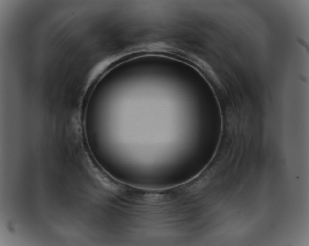X0000095691176200801081242