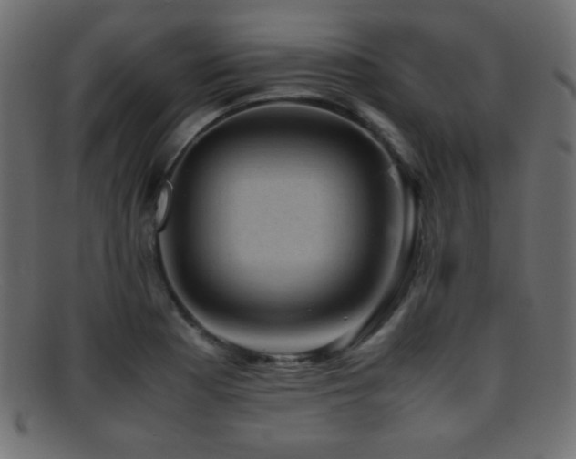 X0000095691177200801081242