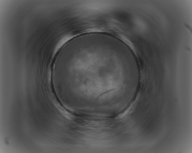 X0000095691179200801081242
