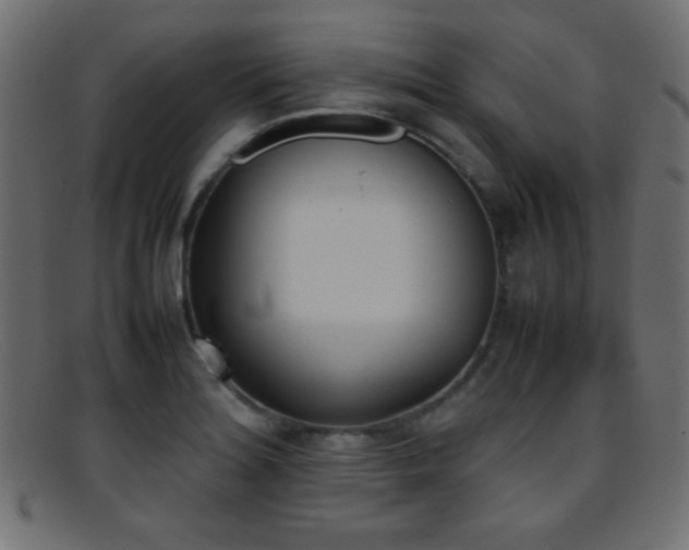X0000095691180200801081241