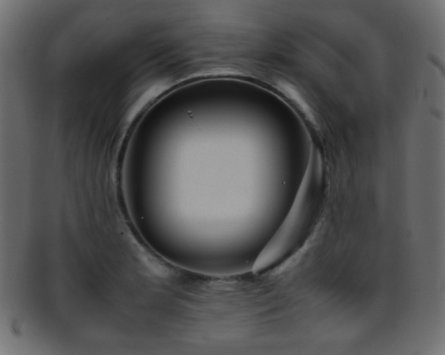 X0000095691181200801081241