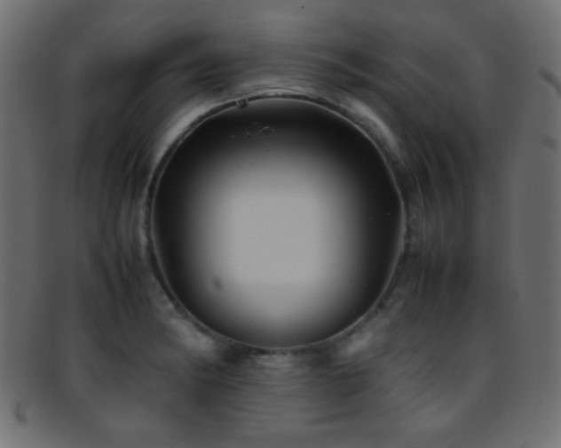 X0000095691182200801081241