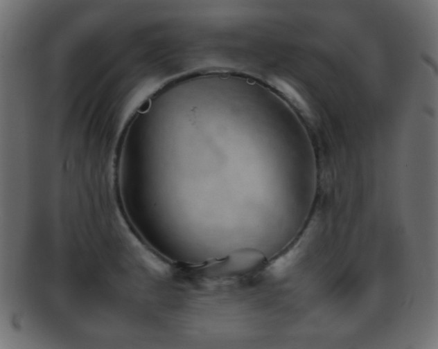 X0000095691183200801081241