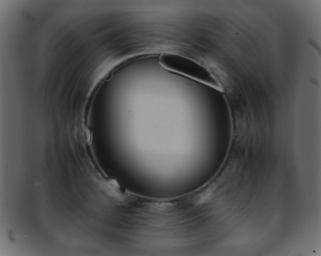 X0000095691184200801081241