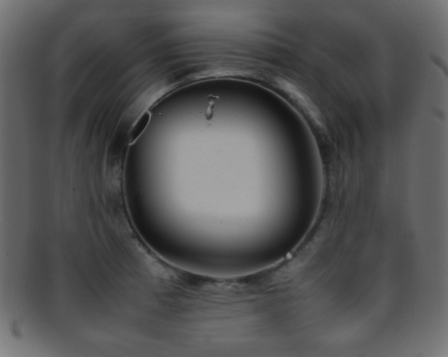 X0000095691185200801081241