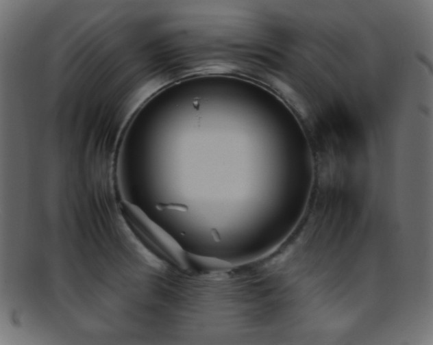 X0000095691186200801081241