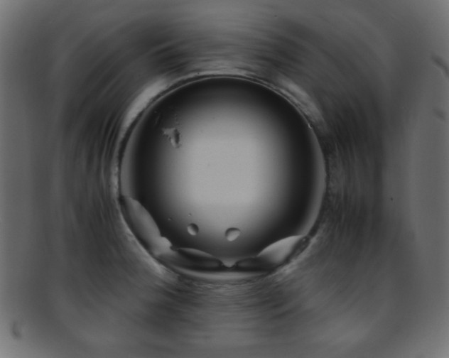 X0000095691188200801081241
