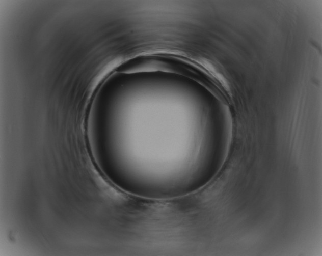 X0000095691189200801081241