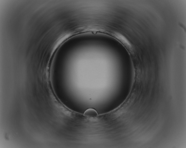 X0000095691190200801081241