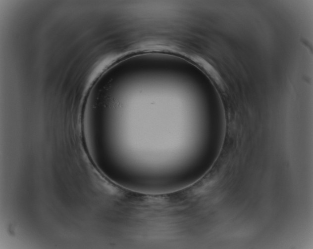 X0000095691191200801081241