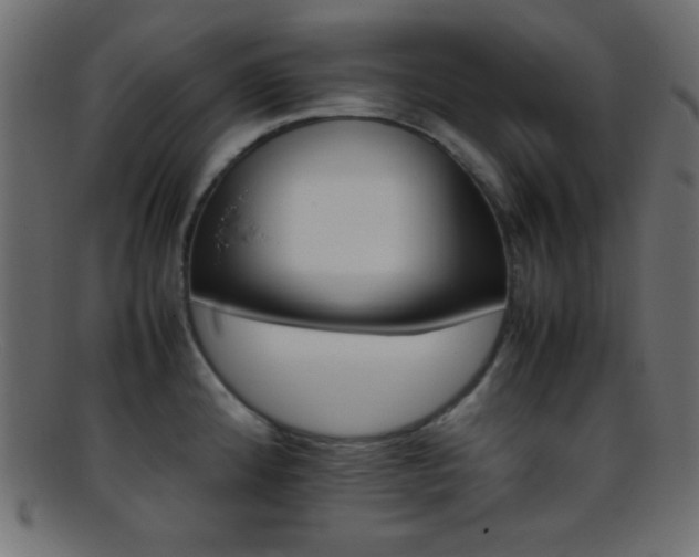 X0000095691192200801081241