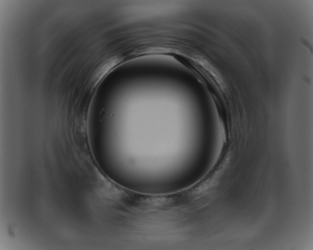 X0000095691193200801081241
