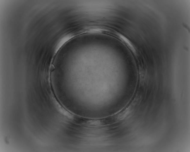 X0000095691194200801081241