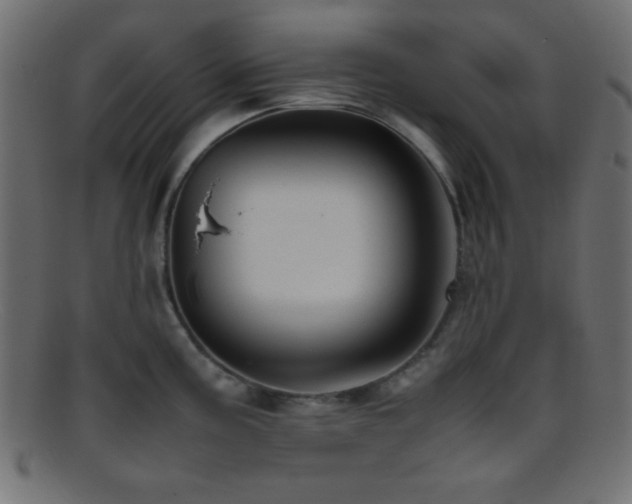 X0000095691195200801081241