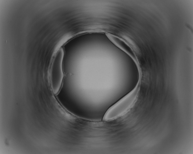 X0000095691196200801081241