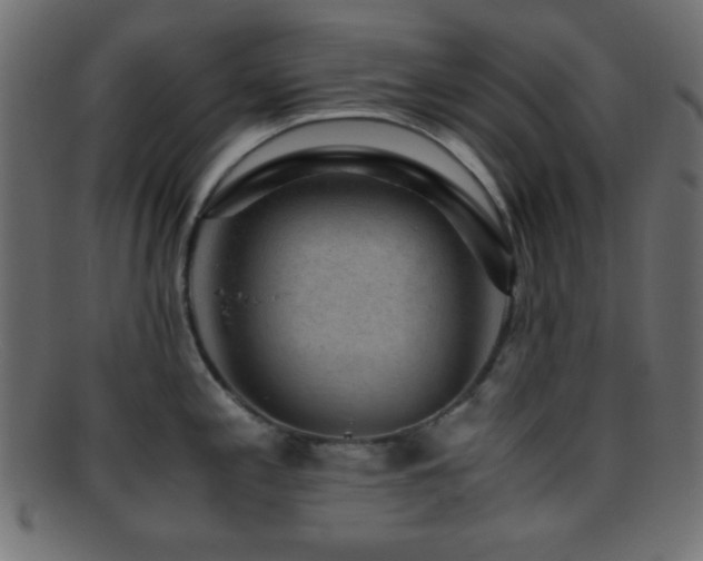 X0000095691197200801081241