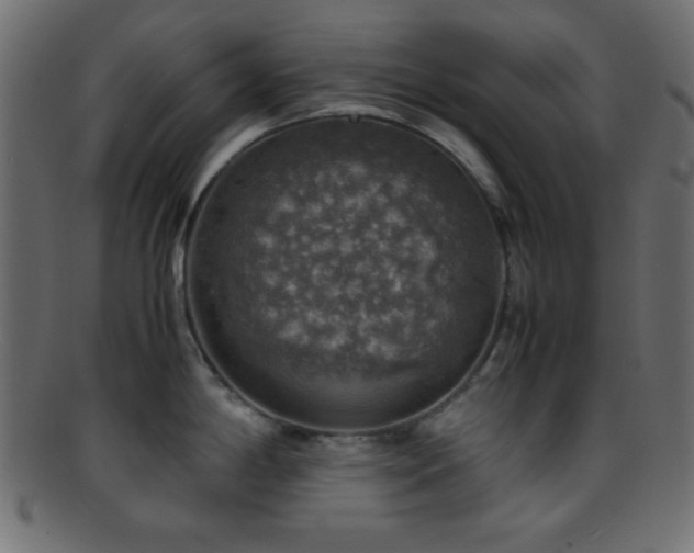 X0000095691198200801081241