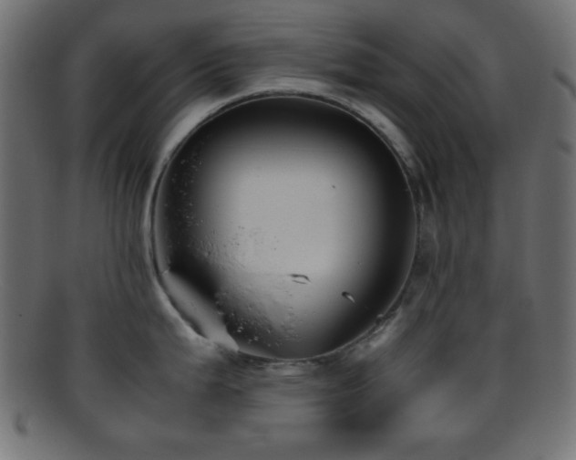 X0000095691199200801081241