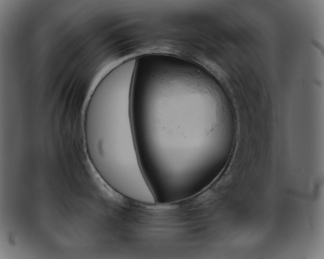 X0000095691200200801081241