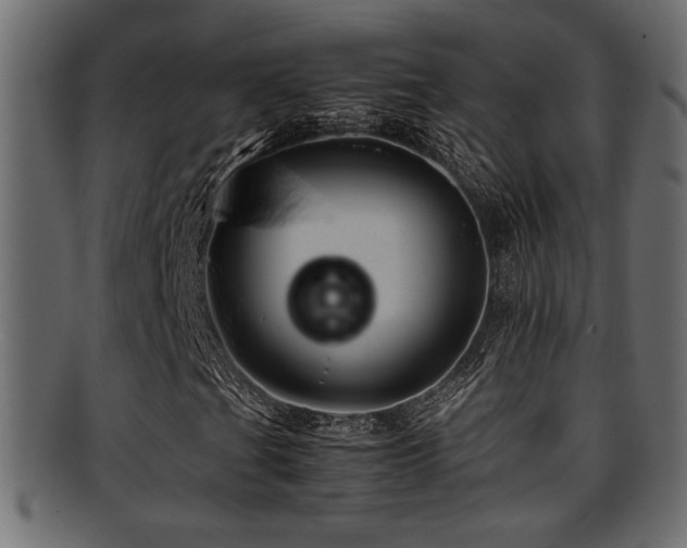 X0000095691201200801081241