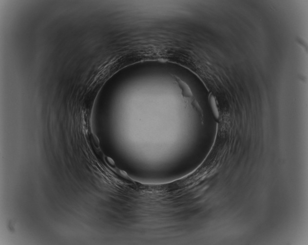 X0000095691202200801081241