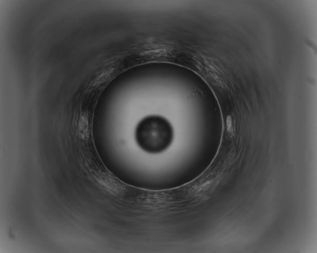 X0000095691203200801081241