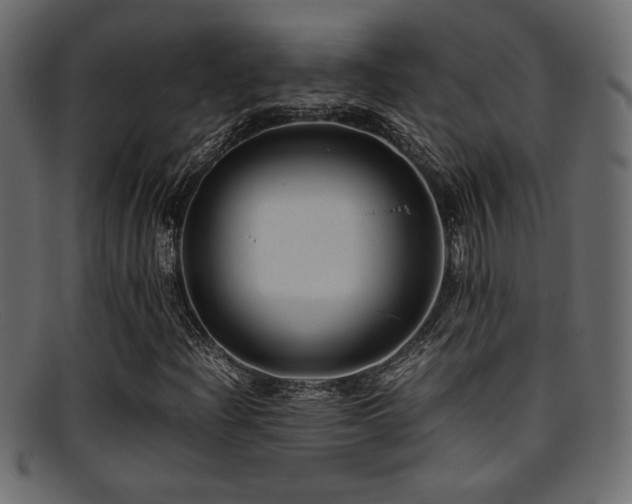 X0000095691204200801081241