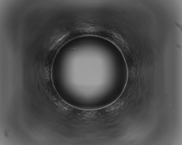 X0000095691205200801081241