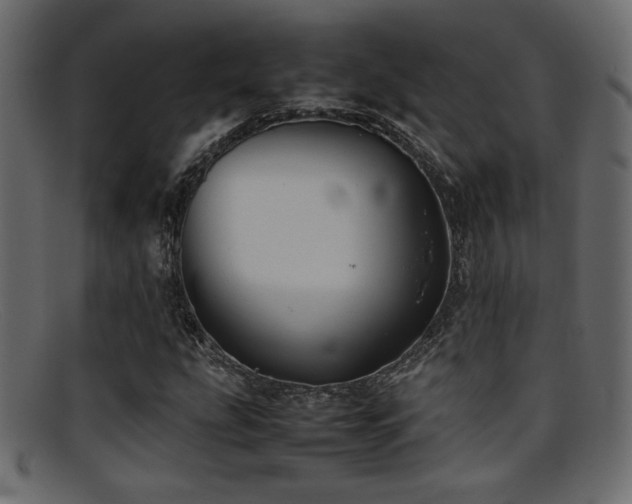 X0000095691207200801081241