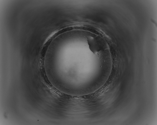 X0000095691208200801081241