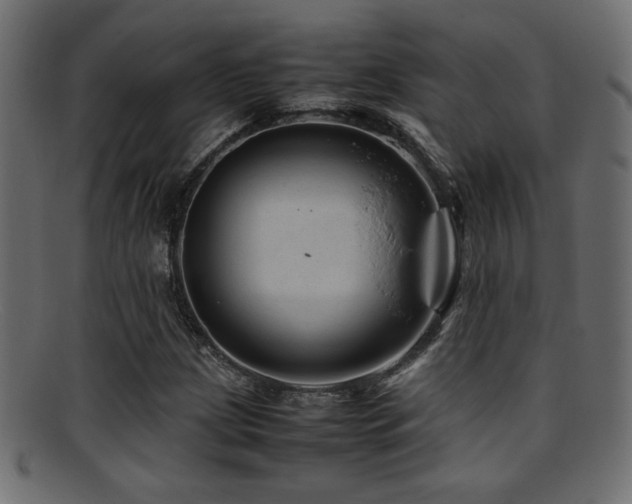 X0000095691209200801081241