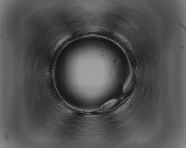 X0000095691210200801081241