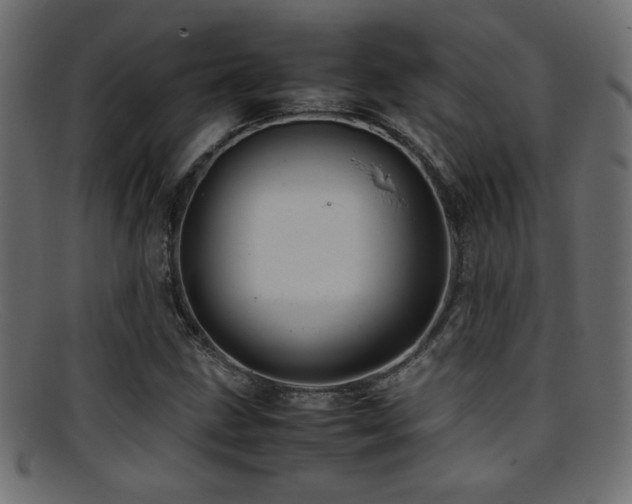 X0000095691211200801081241